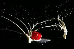 Foto: Friedhelm Poschadel