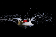 Foto: Hans-Peter Hornbostel