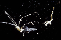 Foto: Maren Poschadel